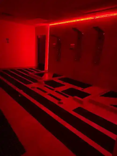 Adonis Health Club (Updated 2025) - The Queer Spot 🏳️‍🌈